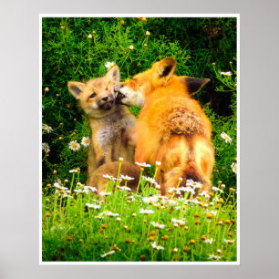 Red Fox Kits Print Woodland Wildlife Art