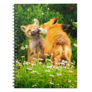 Red Fox Kits Spiral Notebook Wildlife Journal