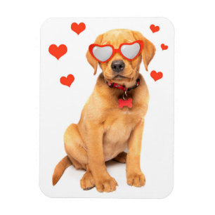 Red Fox Labrador Puppy Love Magnet