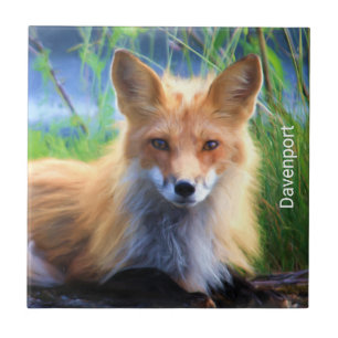 Red Fox Laying in the Grass Scenic Personalised Tile