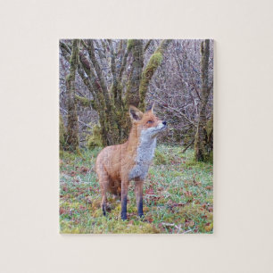 Red Fox Looking Up Jigsaw Puzzle