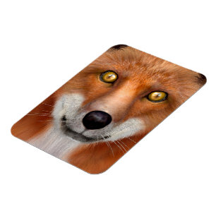Red Fox Magnet