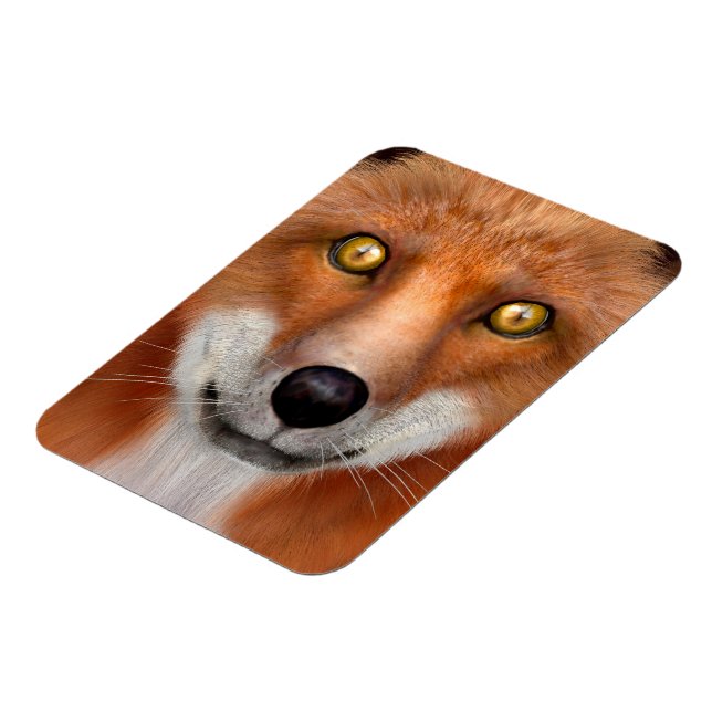Red Fox Magnet (Left Side)