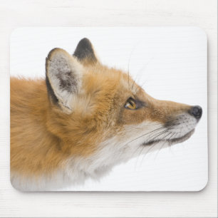 Red fox mouse pad