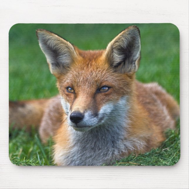 Red Fox Mousemat (Front)