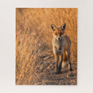 Red Fox Nature Inspired Wildlife Design Jigsaw Puzzle