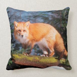 Red Fox on a log Cushion