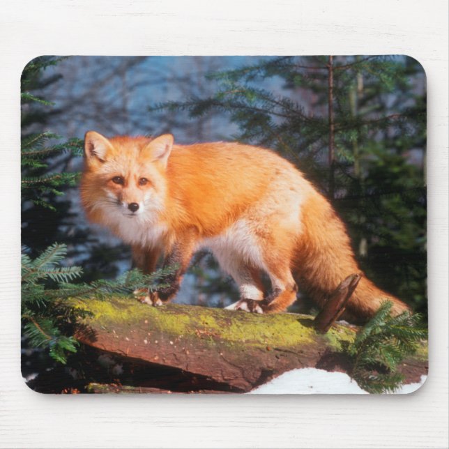 Red Fox on a log Mouse Pad (Front)