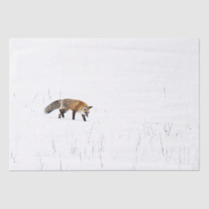 RED FOX ON SNOW TISSUE PAPER