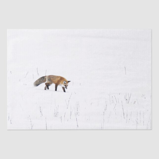 RED FOX ON SNOW TISSUE PAPER (Front)