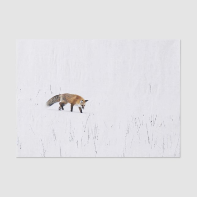 RED FOX ON SNOW TISSUE PAPER (Front)