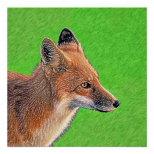 Red Fox Painting - Original Wildlife Art Poster