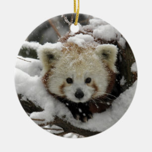 Red Fox Panda Bearcub Ceramic Ornament