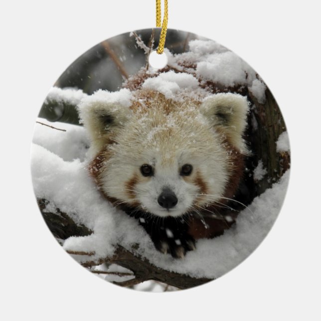 Red Fox Panda Bearcub Ceramic Ornament (Front)
