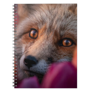 Red Fox Peeking Through Pink and Orange Tulips Notebook