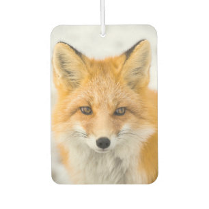 Red Fox Portrait Car Air Freshener