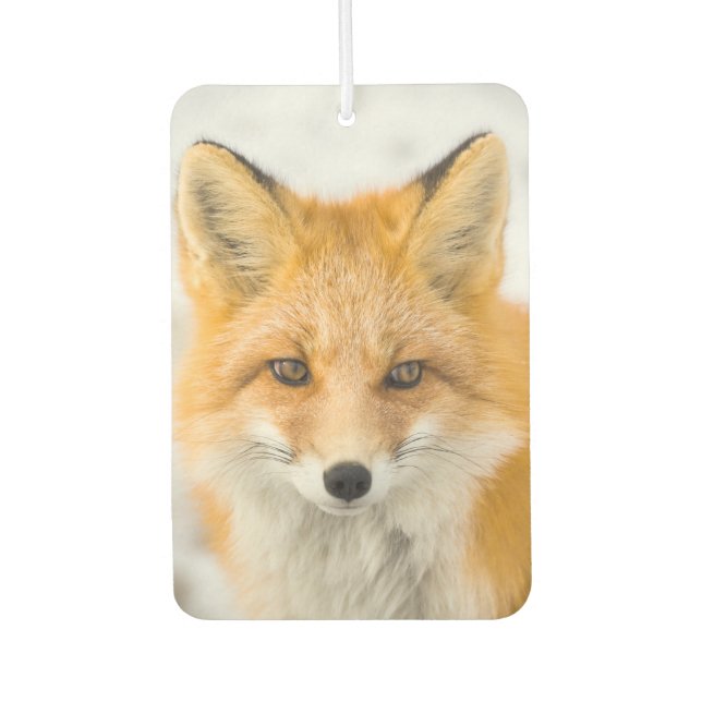 Red Fox Portrait Car Air Freshener (Front)