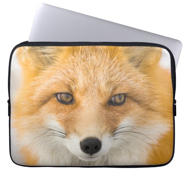Red Fox Portrait Laptop Sleeve (Front)