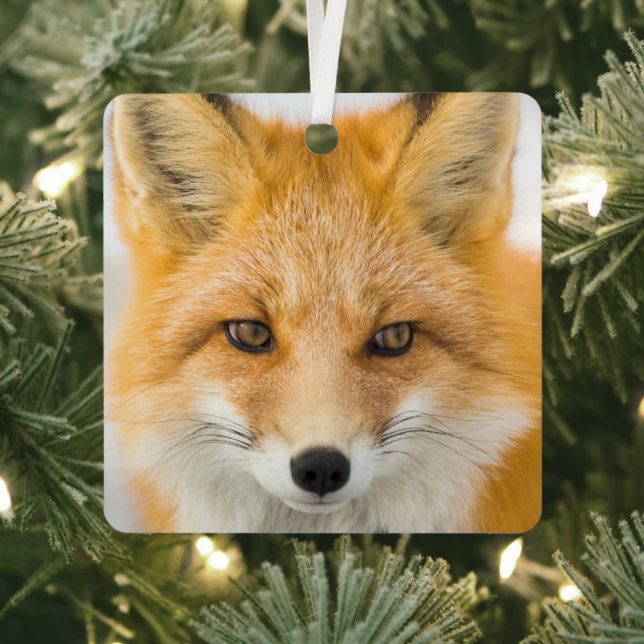 Red Fox Portrait Metal Tree Decoration (Insitu)