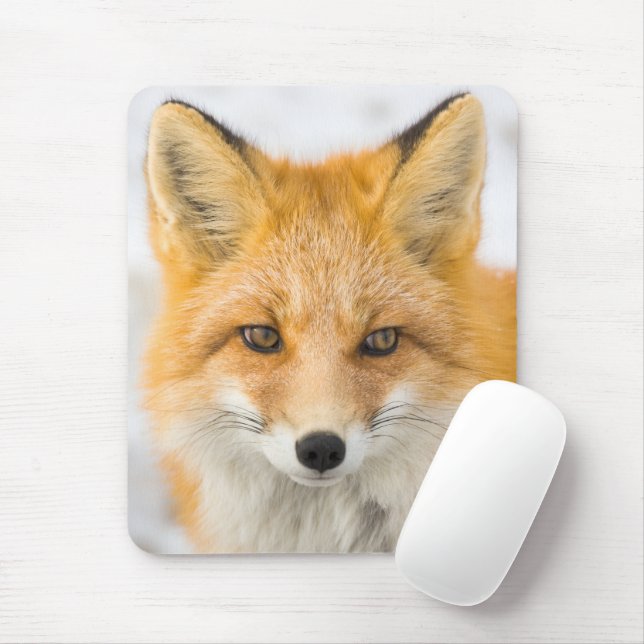 Red Fox Portrait Mouse Pad (With Mouse)