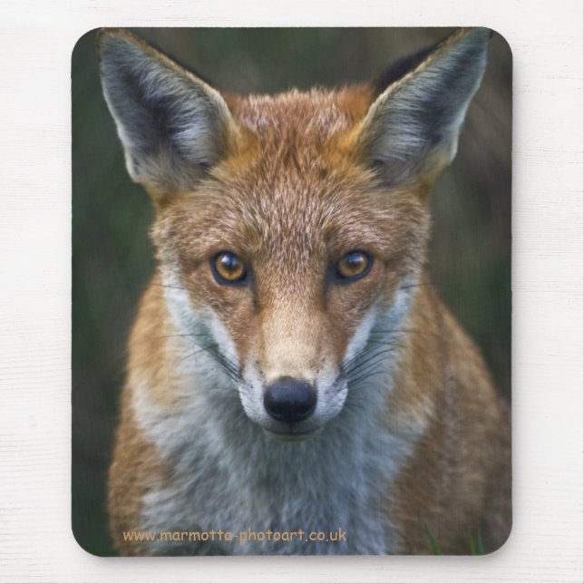 Red Fox Portrait Mousemat (Front)