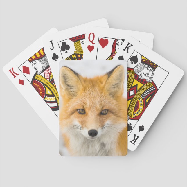 Red Fox Portrait Playing Cards (Back)