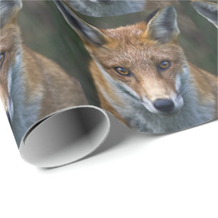 Red Fox Portrait Wrapping Paper