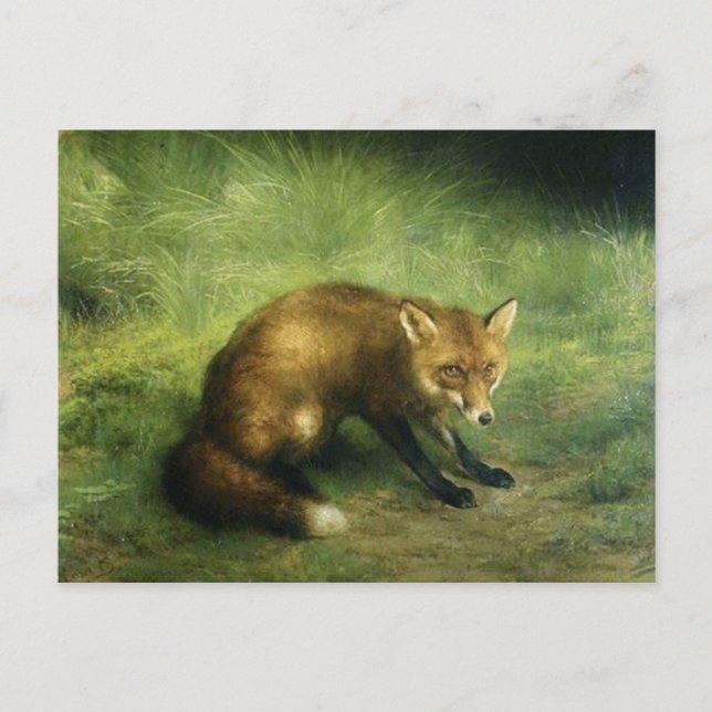 Red Fox Postcard (Front)