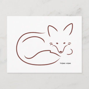 Red Fox Postcard