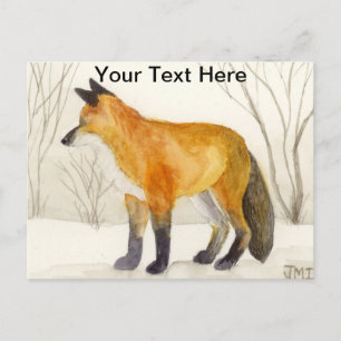 Red Fox Postcard