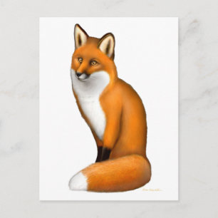 Red Fox Postcard