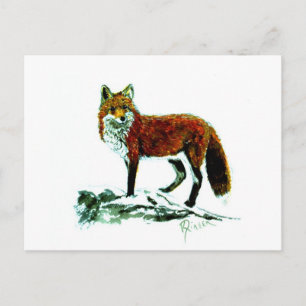 Red Fox Postcard