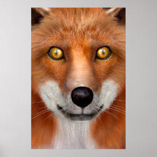 Red Fox Poster