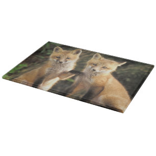 Red Fox pup in front of den Vulpes vulpes) Cutting Board
