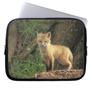 Red Fox pup in front of den (Vulpes vulpes) Laptop Sleeve