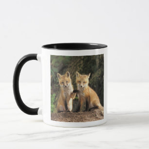 Red Fox pup in front of den Vulpes vulpes) Mug