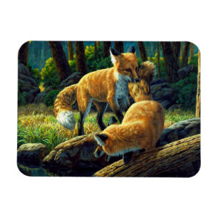Red Fox Pups Playing Magnet