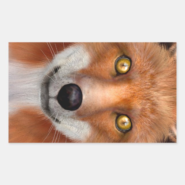 Red Fox Rectangular Sticker (Front)