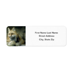 Red Fox Return Address Label