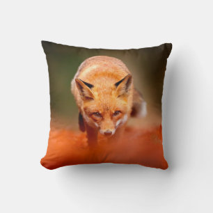 Red fox running on orange autumn leaves. Cute Red Cushion