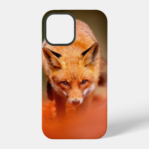 Red fox running on orange autumn leaves. Cute Red iPhone 12 Case
