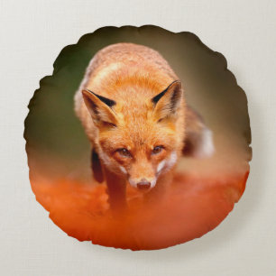 Red fox running on orange autumn leaves. Cute Red Round Cushion