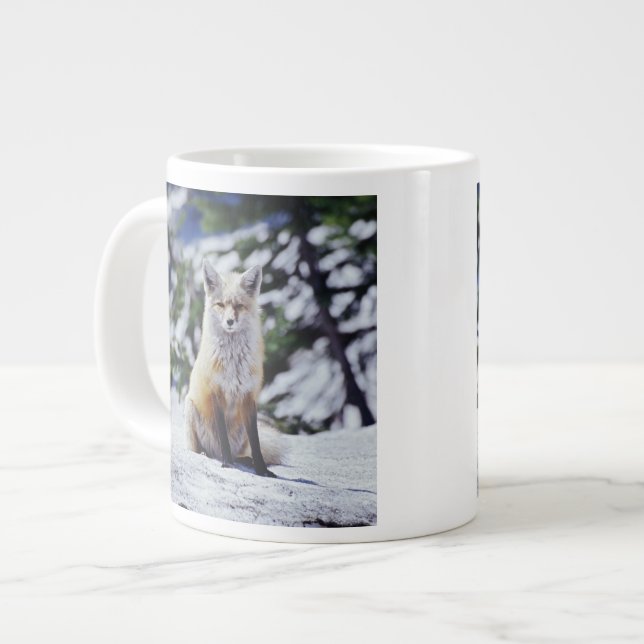 Red Fox sitting on snow bank, Vulpes, Mt. Large Coffee Mug (Front Left)