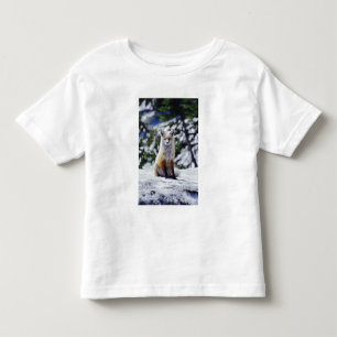 Red Fox sitting on snow bank, Vulpes, Mt. Toddler T-Shirt