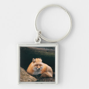 Red Fox Sleeping Key Ring