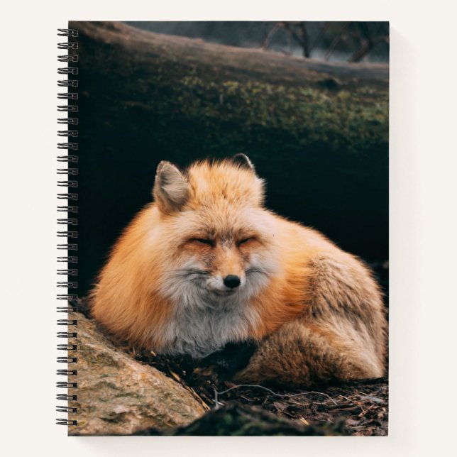 Red Fox Sleeping Notebook (Front)