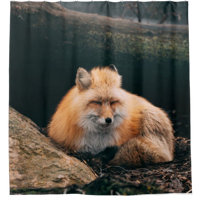Red Fox Sleeping Shower Curtain (Front)