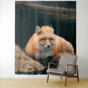 Red Fox Sleeping Tapestry