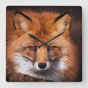 Red Fox Square Wall Clock