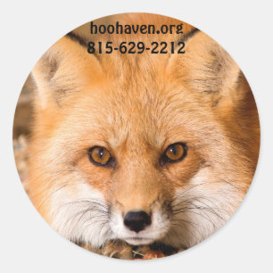 Red Fox Stickers